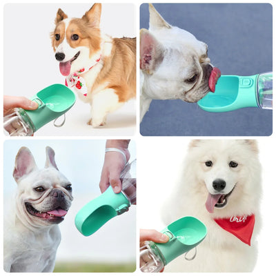 Portable Pet Feeder